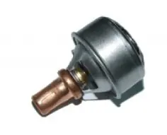 Termostat Dacia 1310 Cumpără acum