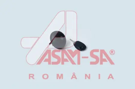 Buson rezervor Dacia Logan/ Dacia Sandero Calitate înaltă
