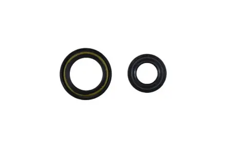 Kit Reparatie Caseta Directie RENAULT LAGUNA 1993-2001 Ofertă limitată