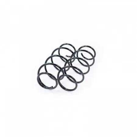 Set arcuri elicoidale fata FIAT PUNTO 1999-2012 Discount