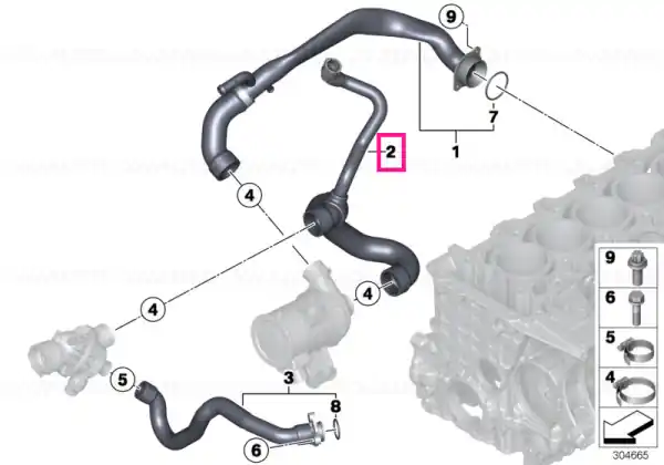 Coolant hose - BMW Expediere rapidă